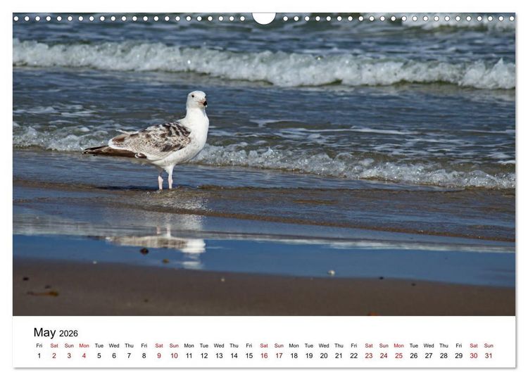 Produktbild: The Sea - A place for dreams (Wall Calendar 2026 DIN A3 landscape), CALVENDO 12 Month Wall Calendar