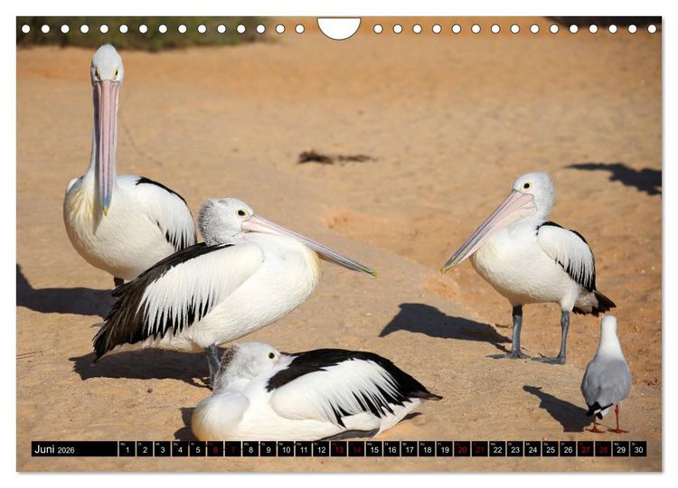 Produktbild: West-Australien (Wandkalender 2026 DIN A4 quer), CALVENDO Monatskalender