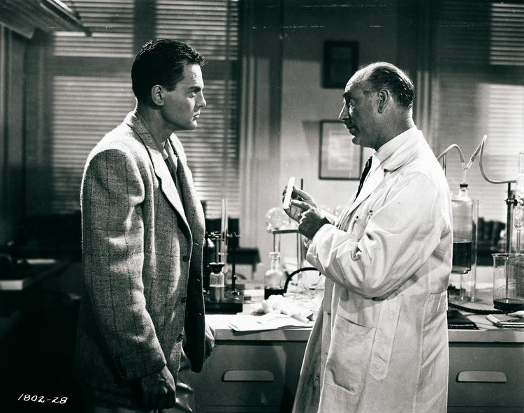 Produktbild: Tarantula