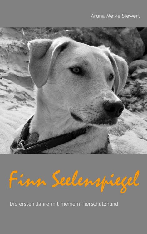 Produktbild: Finn Seelenspiegel