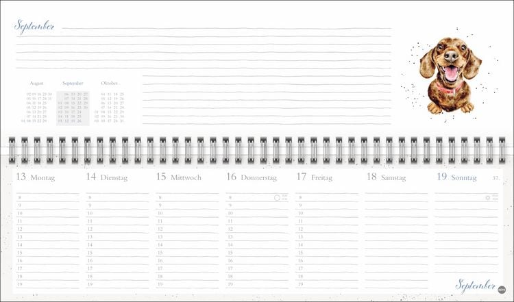 Produktbild: Hannah Dale : Wochenquerplaner 2027