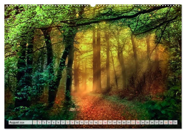 Produktbild: Wald - mystische Spazierg&auml;nge (Wandkalender 2026 DIN A2 quer), CALVENDO Monatskalender