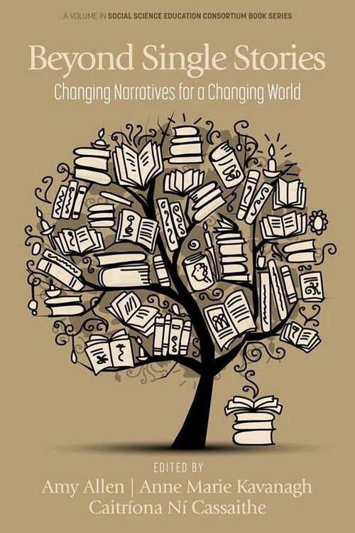 Produktbild: Beyond Single Stories