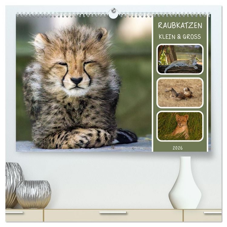Produktbild: Raubkatzen - gro&szlig; & klein (hochwertiger Premium Wandkalender 2026 DIN A2 quer), Kunstdruck in Hochglanz