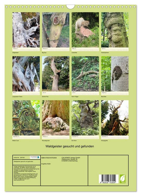 Produktbild: Waldgeister gesucht und gefunden (Wandkalender 2027 DIN A3 hoch), CALVENDO Monatskalender