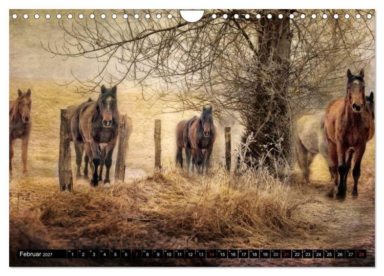 Produktbild: Western-Feeling (Wandkalender 2027 DIN A4 quer), CALVENDO Monatskalender