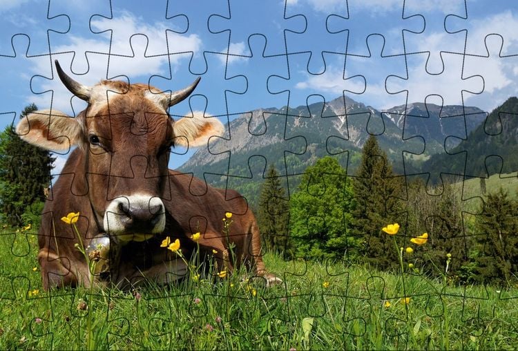 Produktbild: Puzzle-Postkarte Allg&auml;u