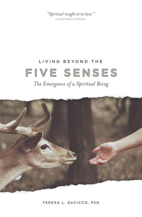 Produktbild: Living Beyond the Five Senses