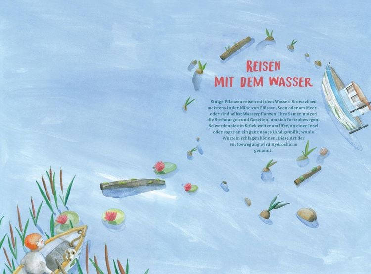 Produktbild: Wie Pflanzen reisen