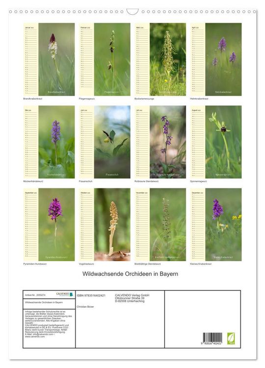 Produktbild: Wildwachsende Orchideen in Bayern (Wandkalender 2026 DIN A2 hoch), CALVENDO Monatskalender