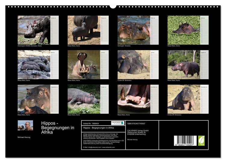 Produktbild: Hippos - Begegnungen in Afrika (hochwertiger Premium Wandkalender 2026 DIN A2 quer), Kunstdruck in Hochglanz