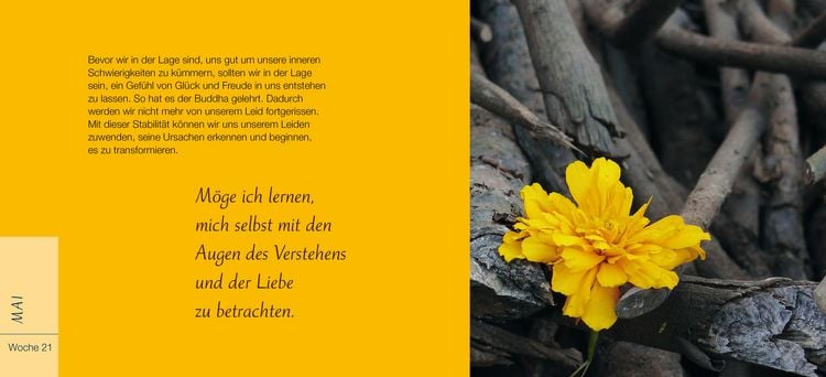 Produktbild: Du bist ein Geschenk f&uuml;r die Welt