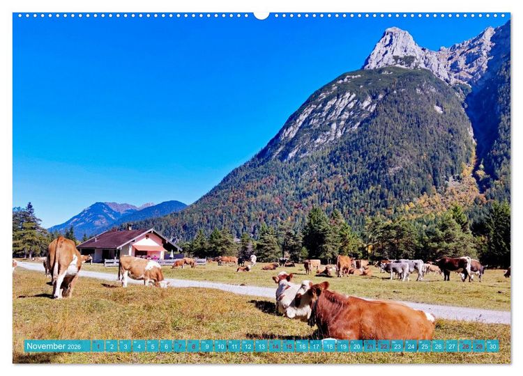 Produktbild: Almen im Westlichen Karwendelgebirge (Wandkalender 2026 DIN A2 quer), CALVENDO Monatskalender