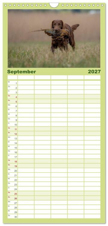 Produktbild: Familienplaner 2027 - Jagdhunde bei der Arbeit mit 5 Spalten (Wandkalender, 21 x 45 cm) CALVENDO