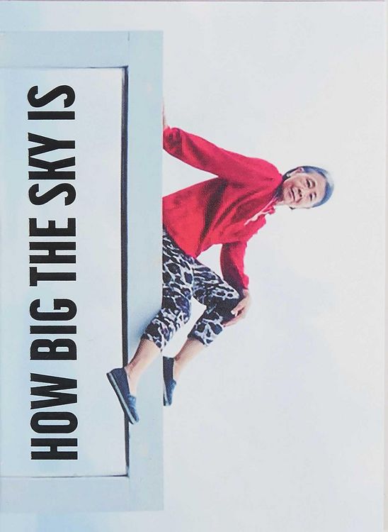 Produktbild: I'm showing you how big the sky is - The story of Chiou Taur Wu told by Martina Bacigalupo