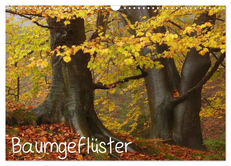 Produktbild: Baumgefl&uuml;ster (Wandkalender 2026 DIN A3 quer), CALVENDO Monatskalender
