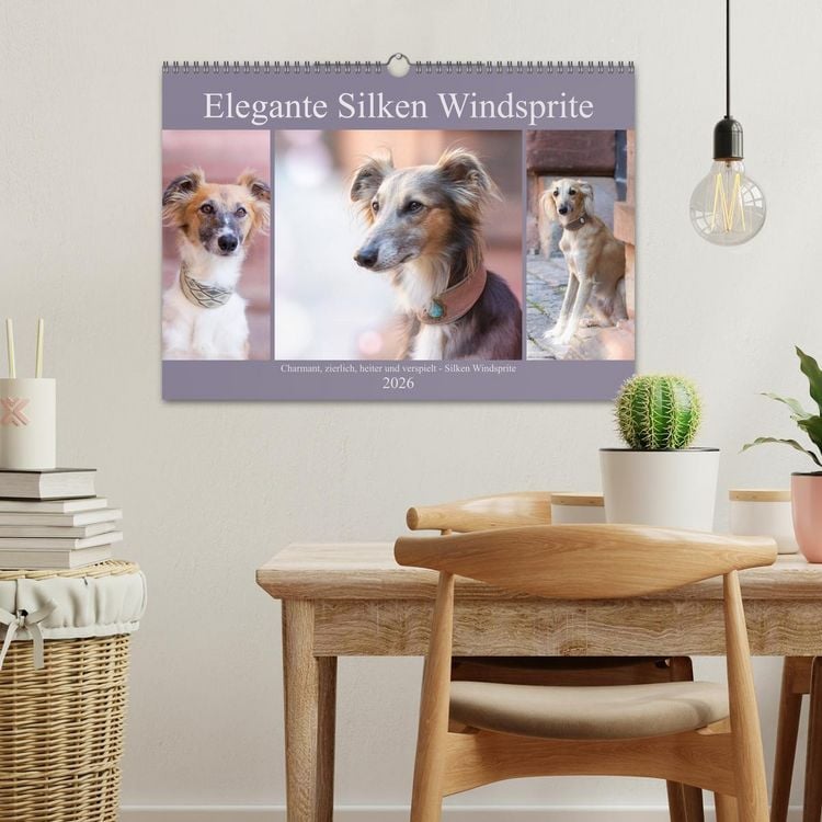 Produktbild: Elegante Silken Windsprite (Wandkalender 2026 DIN A3 quer), CALVENDO Monatskalender