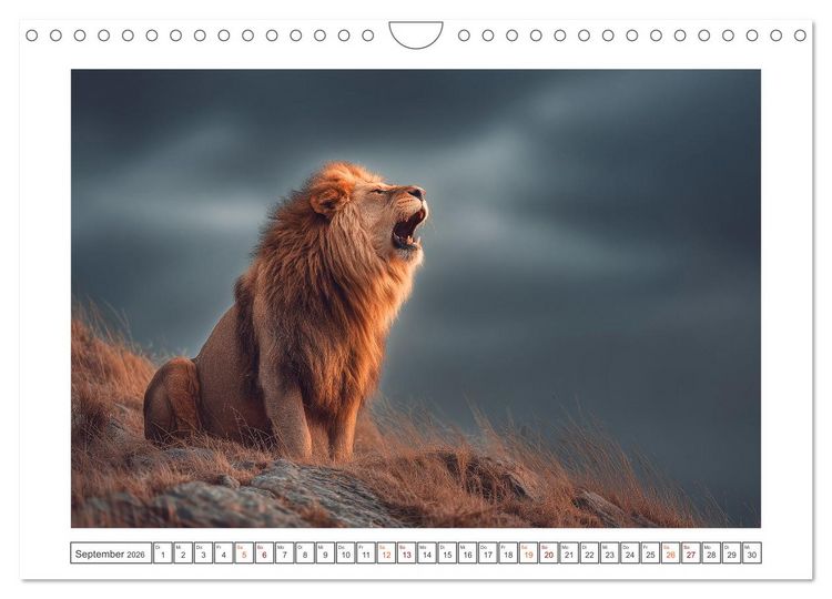 Produktbild: Magie der Wildnis (Wandkalender 2026 DIN A4 quer), CALVENDO Monatskalender