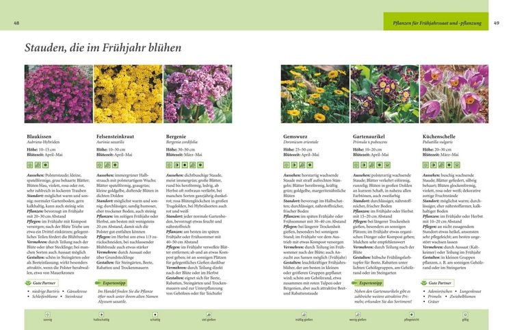 Produktbild: Gartenjahr f&uuml;r Einsteiger