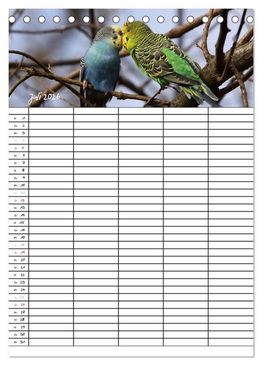 Produktbild: Wellensittiche (Tischkalender 2026 DIN A5 hoch), CALVENDO Monatskalender
