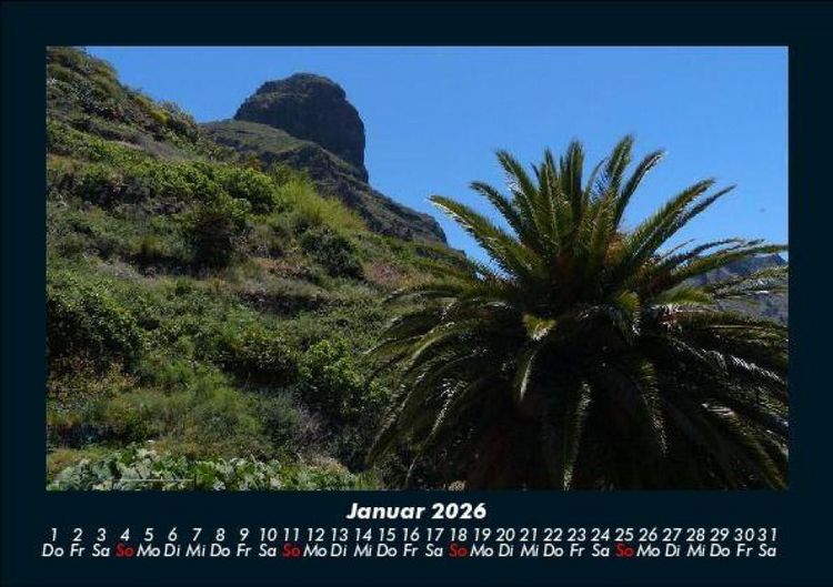 Produktbild: Palmentraum 2026 Fotokalender DIN A5