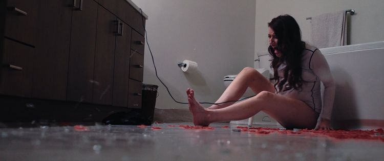 Produktbild: Das Honeymoon-Experiment