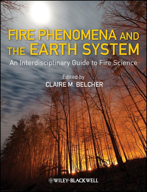 Produktbild: Fire Phenomena and the Earth System