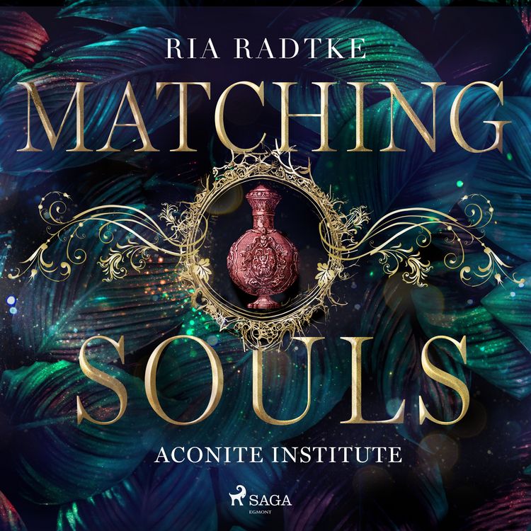 Produktbild: Matching Souls