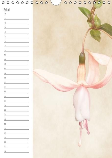 Produktbild: Zarte Bl&uuml;ten / Geburtstagskalender (Wandkalender immerw&auml;hrend DIN A4 hoch)