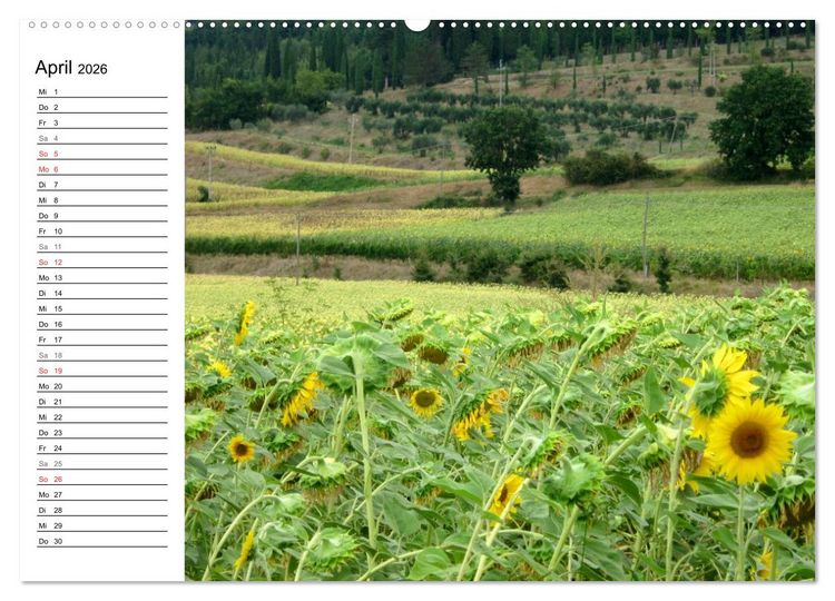 Produktbild: Camino di Assisi - Franziskusweg (Wandkalender 2026 DIN A2 quer), CALVENDO Monatskalender