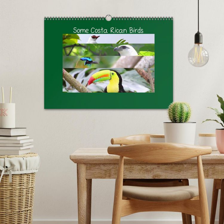 Produktbild: Some Costa Rican Birds (Wall Calendar 2026 DIN A3 landscape), CALVENDO 12 Month Wall Calendar