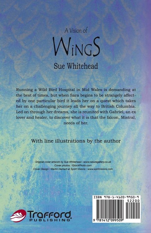 Produktbild: A Vision Of Wings