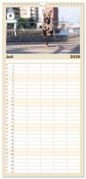 Produktbild: Familienplaner 2026 - Hunde in der City - Unterwegs in Hamburg mit 5 Spalten (Wandkalender, 21 x 45 cm) CALVENDO