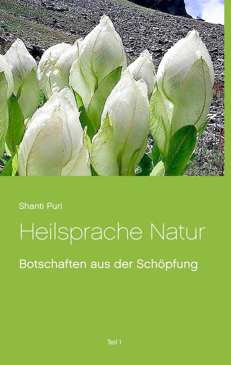 Produktbild: Heilsprache Natur