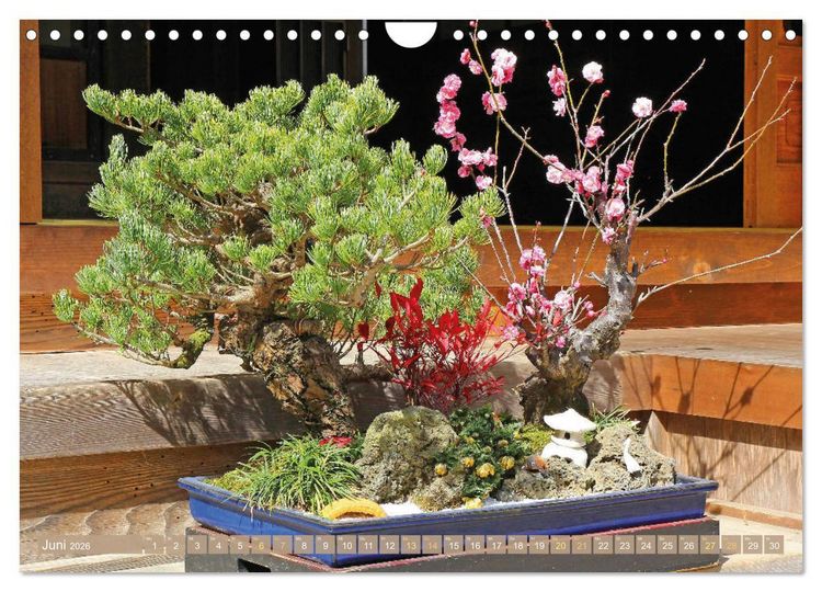 Produktbild: Gartenkunst aus Japan: Bonsai (Wandkalender 2026 DIN A4 quer), CALVENDO Monatskalender
