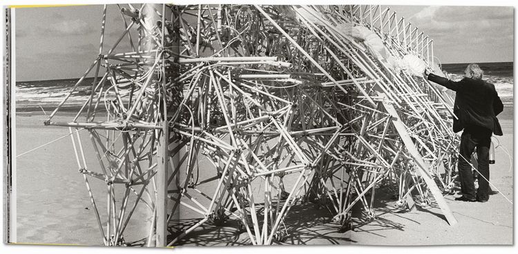 Produktbild: Strandbeest