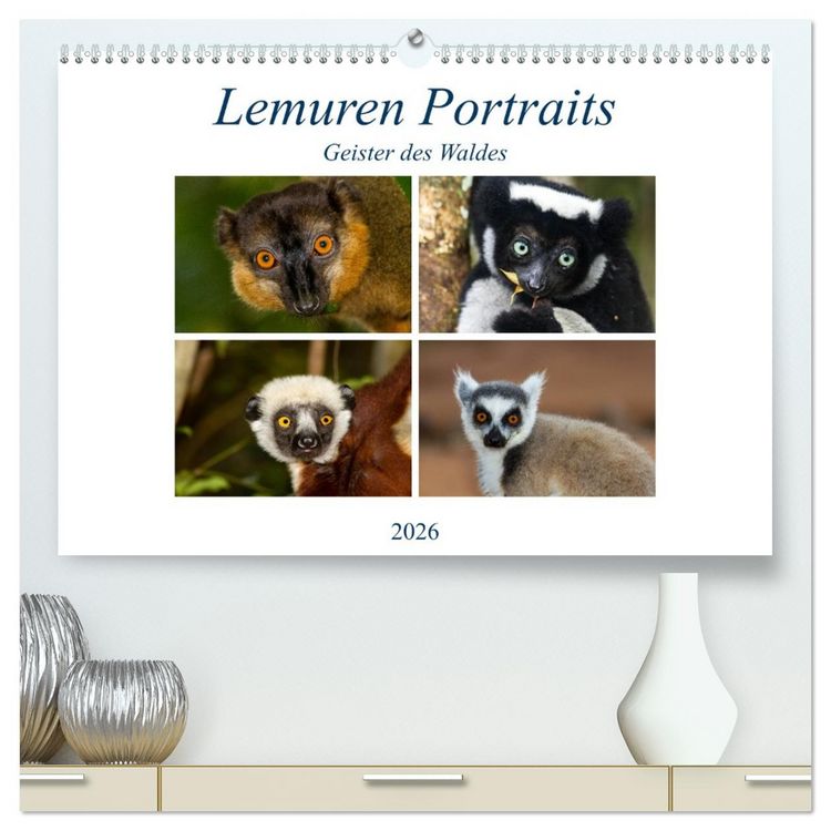 Produktbild: Lemuren Portraits (hochwertiger Premium Wandkalender 2026 DIN A2 quer), Kunstdruck in Hochglanz