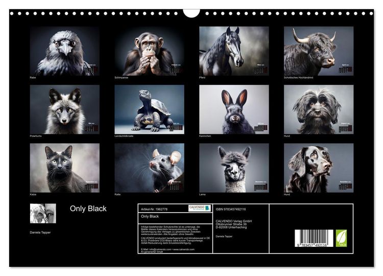 Produktbild: Only Black (Wandkalender 2026 DIN A3 quer), CALVENDO Monatskalender