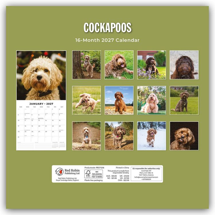 Produktbild: Cockapoos &ndash; Cockapoo 2027 &ndash; 16-Monatskalender