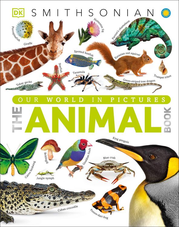 Produktbild: The Animal Book