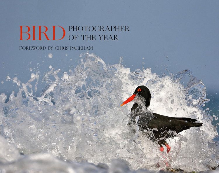 Produktbild: Bird Photographer of the Year