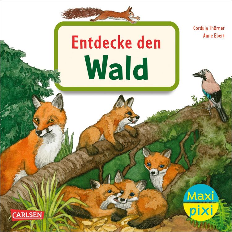 Produktbild: Maxi Pixi 399: Entdecke den Wald