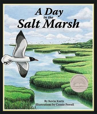 Produktbild: A Day in the Salt Marsh