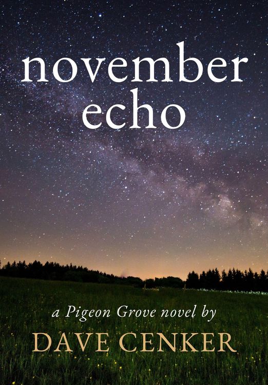 Produktbild: November Echo (A Pigeon Grove Novel, #4)