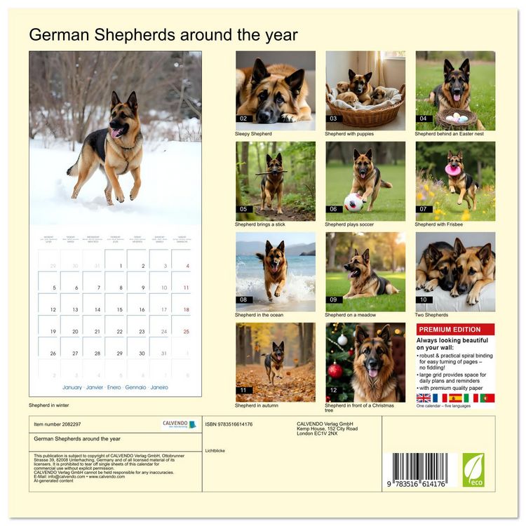 Produktbild: German Shepherds around the year (Wall Calendar 2026 12 &times; 12 Inch) CALVENDO 12 Month Wall Calendar