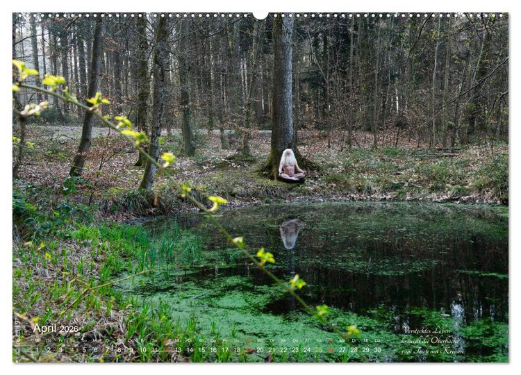 Produktbild: HAIKU AM TEICH (hochwertiger Premium Wandkalender 2026 DIN A2 quer), Kunstdruck in Hochglanz
