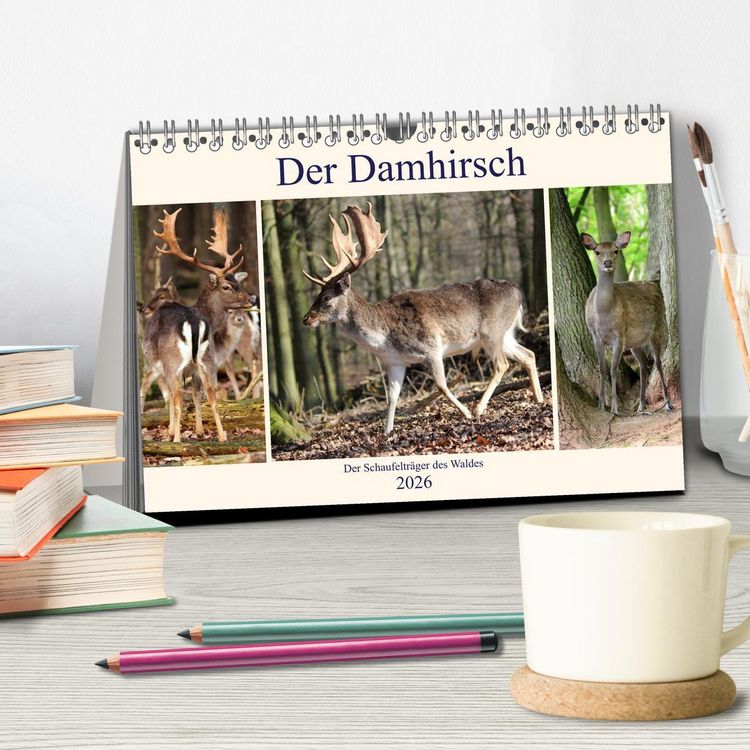 Produktbild: Der Damhirsch - Der Schaufeltr&auml;ger des Waldes (Tischkalender 2026 DIN A5 quer), CALVENDO Monatskalender