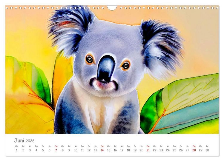 Produktbild: Der Koala 2026. Aschgrauer Beutelb&auml;r (Wandkalender 2026 DIN A3 quer), CALVENDO Monatskalender