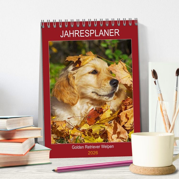 Produktbild: Jahresplaner Golden Retriever Welpen (Tischkalender 2026 DIN A5 hoch), CALVENDO Monatskalender