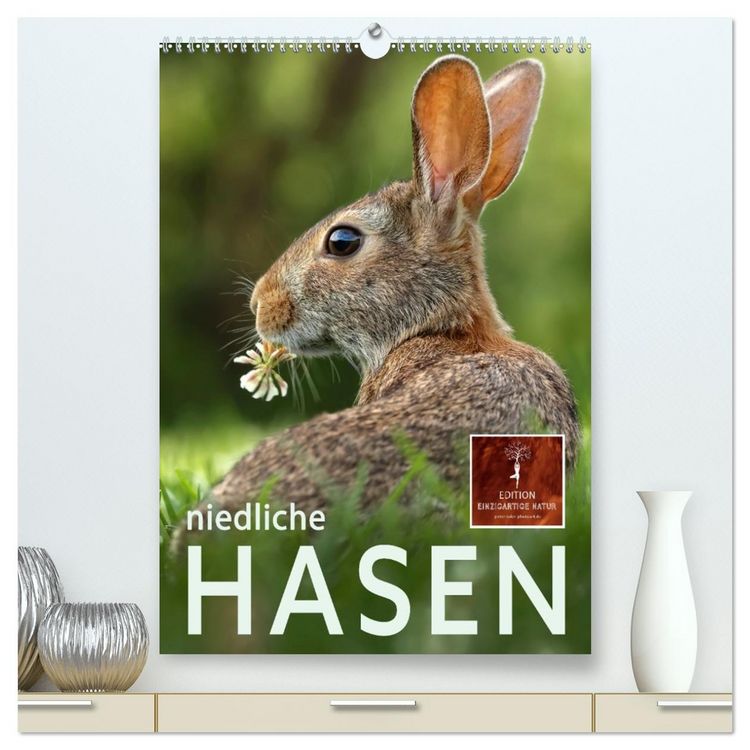 Produktbild: Niedliche Hasen (hochwertiger Premium Wandkalender 2026 DIN A2 hoch), Kunstdruck in Hochglanz
